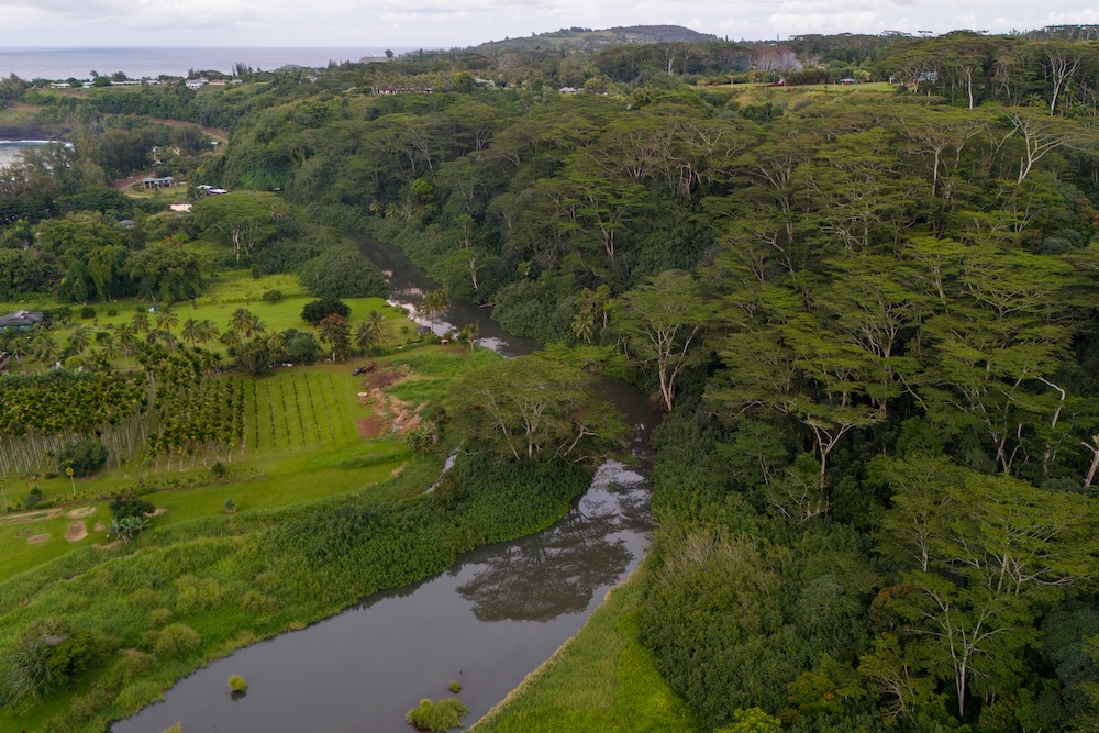 aerial view of water on a farm in Kauai