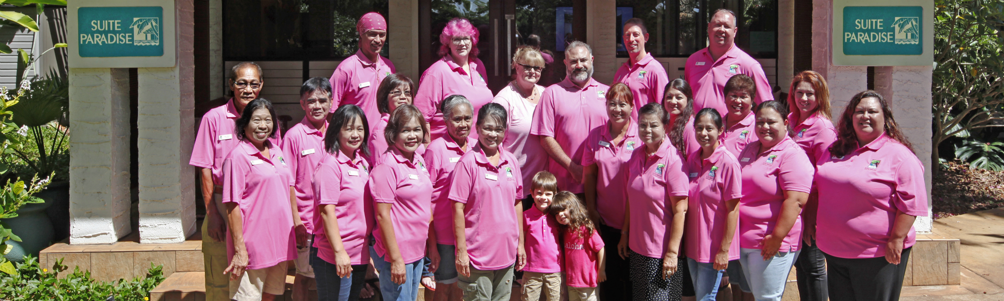 suite paradise team suite paradise team