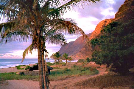 Sunset Picnics On Kauai