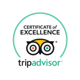 tripadvisor