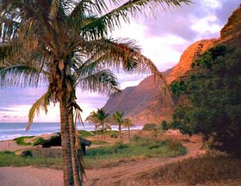 Sunset Picnics On Kauai