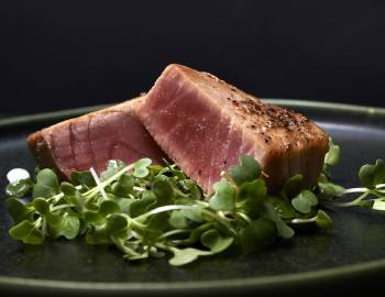 seared tuna and micro greens