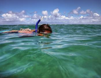 snorkeling poipu beach kauai