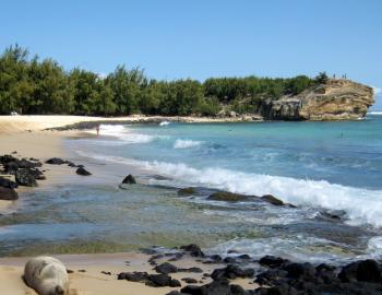the bend of shipwreck's beach with a protruding cliff at the far end 