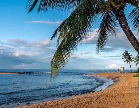 Poipu Beach with view of distant lifeguard stand and palm tree