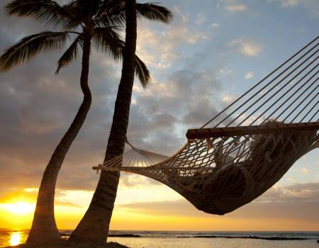 hammock on the beach hawaii