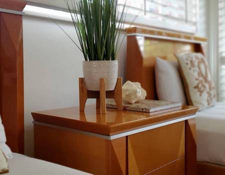 a center table and planter between two twin sized beds