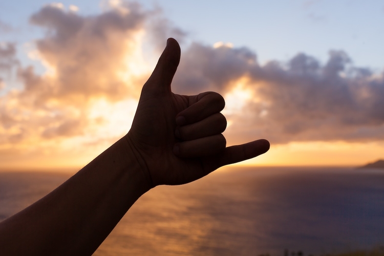 Shaka hand gesture. shaka hand gesture