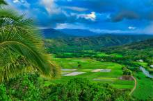 An aerial shot of fields in Kauai.