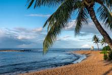 Poipu Beach with view of distant lifeguard stand and palm tree