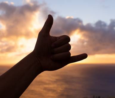 shaka hand gesture