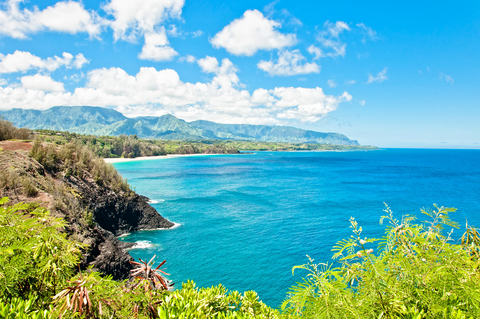 sunny day on kauai