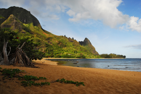 beach on kauai