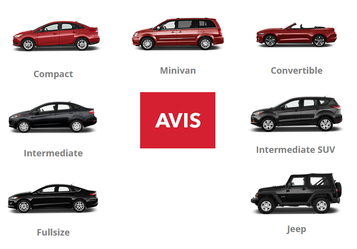 Avis car rental